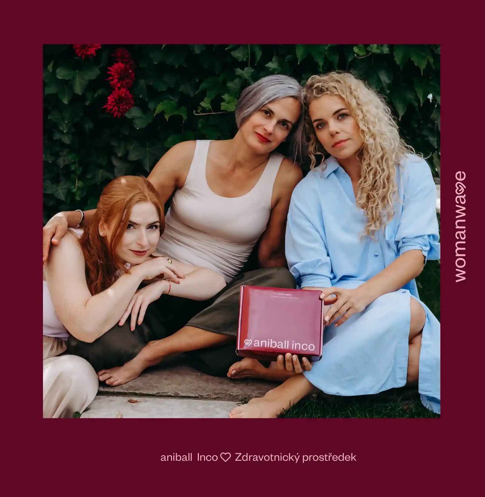 Homepage banner Aniball na stránce Aniball.cz